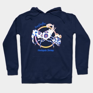 Harlequin Shrimp Hoodie